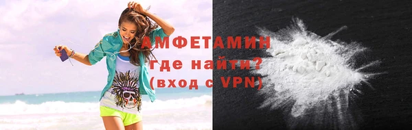 прущие грибы Волоколамск