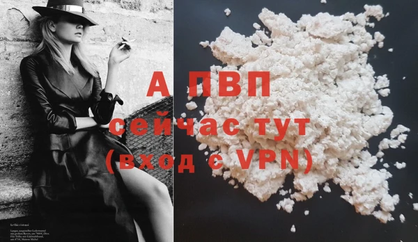 прущие грибы Волоколамск