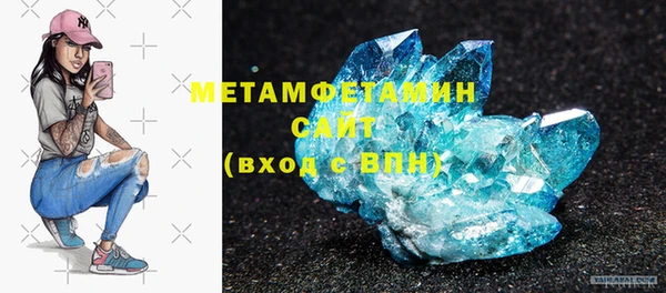 прущие грибы Волоколамск