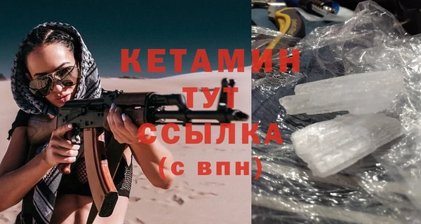 прущие грибы Волоколамск