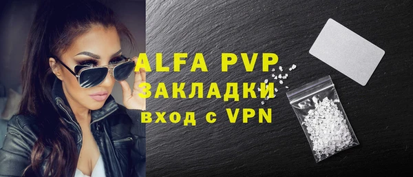 прущие грибы Волоколамск