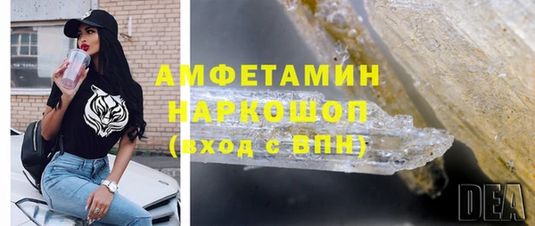 прущие грибы Волоколамск