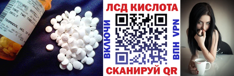 продажа наркотиков  Каргат  LSD-25 экстази ecstasy 