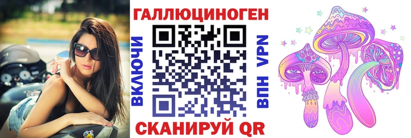 мега сайт где можно купить Каргат Псилоцибиновые грибы мухоморы